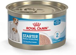 Canine Health Nutrition Starter Mousse (WET FOOD - Cans)